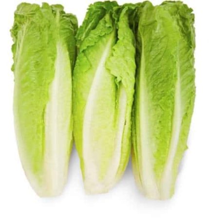 Yellow special green lettuce